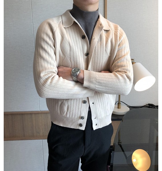 Men's Autumn And Winter Elegant Knitted Sweater